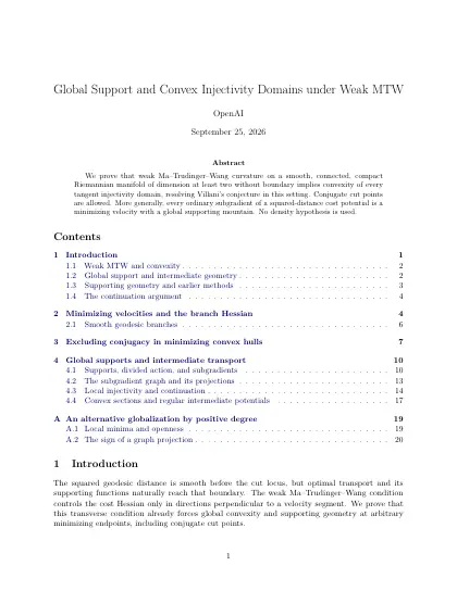 First page of Global Support and Convex Injectivity Domains under Weak MTW